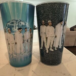 Backstreet Boys Sphere Cups